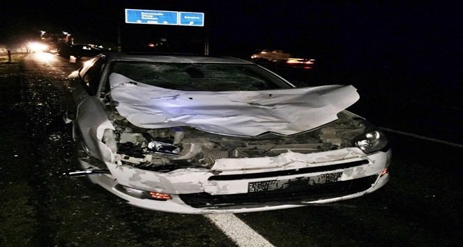 HAYVANLARA ÇARPAN İKİ OTOMOBİL HURDAYA DÖNDÜ