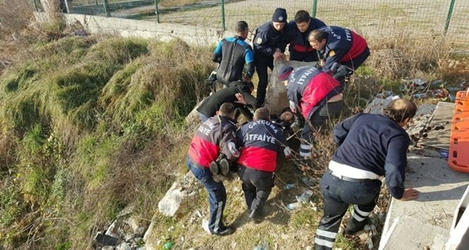 12436483_10153279553992304_636033121_o