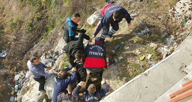 12438921_10153279553497304_515550150_o