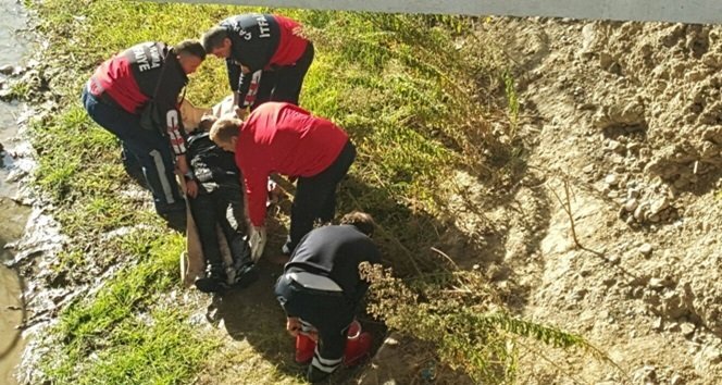 12449708_10153279553707304_957096516_o