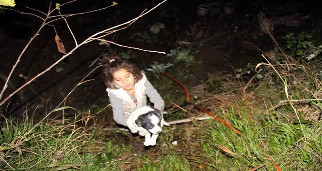 MİNİK KIZ KÖPEKLERİ KURTARMAK İÇİN SEFERBER OLDU. (MURAT KÜÇÜK/ZONGULDAK-İHA)