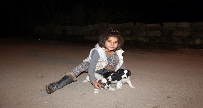 MİNİK KIZ, YIKILMAK ÜZERE OLAN EVDE MAHSUR KALAN 3 YAVRU KÖPEĞİ KURTARDI