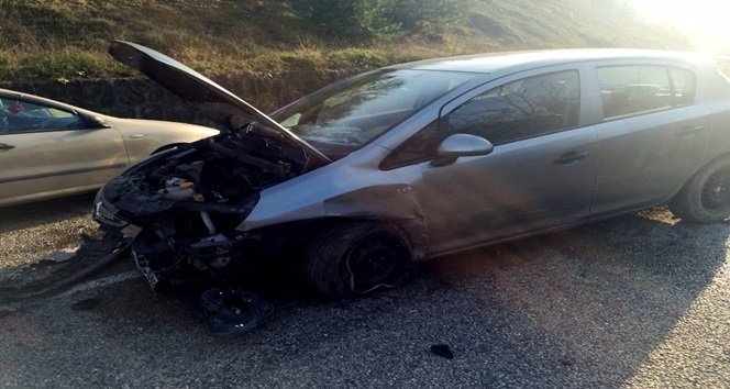 KÖPEĞE ÇARPMAMAK İÇİN KAZA YAPTI