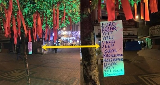 Dilek Ağacına İlginç Yazı Astılar