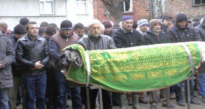 S3290066