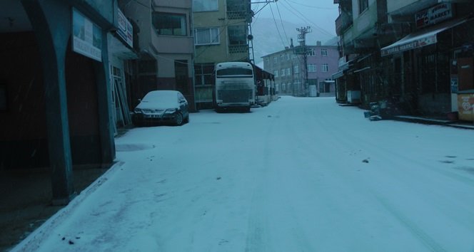 S3300018