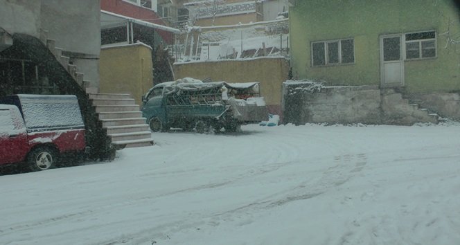 S3300039