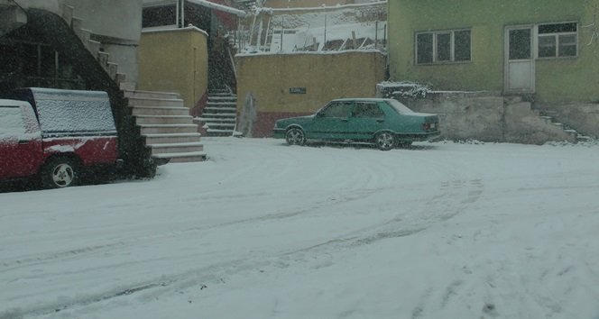 S3300040