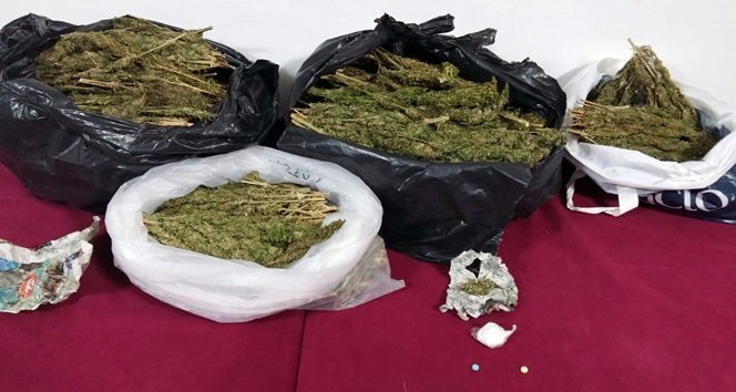 ZONGULDAK'IN ALAPLI İLÇESİNDE BİR OTOMOBİLDE ARAMA YAPAN POLİS EKİPLERİ 15 KİLO ESRAR, 100 GRAM KOKAİN, 1.5 KİLO KENEVİR TOHUMU, 100 ADET UYUŞTURUCU HAP ELE GEÇİRDİ. (ERTUĞRUL YÜKSEL/ZONGULDAK-İHA)