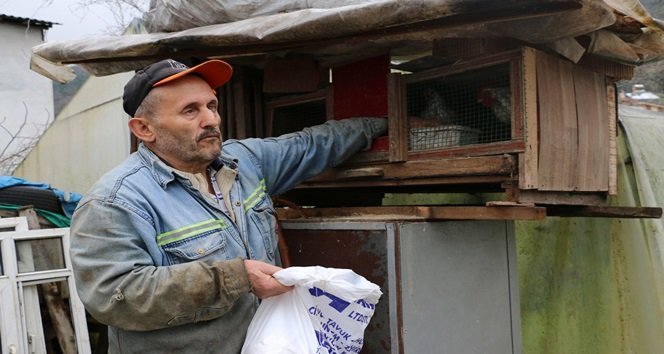 ZONGULDAK'IN EREĞLİ İLÇESİNDE YAŞAYAN İBRAHİM SEZER,GÖZLERİ GÖRMEMESİNE RAĞMEN HAYVANLARINA KENDİSİ BAKIYOR. (VEDAT KILIÇ/ZONGULDAK-İHA)