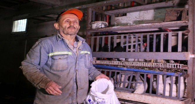 ZONGULDAK'IN EREĞLİ İLÇESİNDE YAŞAYAN VE İKİ GÖZÜ DE GÖRMEYEN İBRAHİM SEZER, AHIRINDAKİ HAYVANLARINA KENDİSİ BAKIYOR. (VEDAT KILIÇ/ZONGULDAK-İHA)