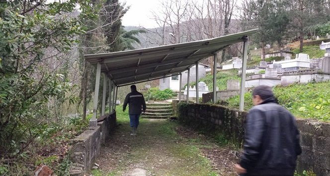 10347472_1132825386751105_7146445401389377412_n