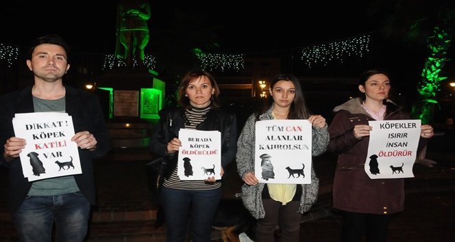 ÇAYCUMA’DA ŞİDDET GÖREN SOKAK HAYVANLARI İÇİN OTURMA EYLEMİ