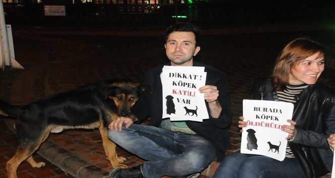 SOKAK HAYVANLARINA YAPILAN ŞİDDET İÇİN OTURMA EYLEMI GERÇEKLEŞTİRDİ (EMRAH YILDIZ/ZONGULDAK-İHA)