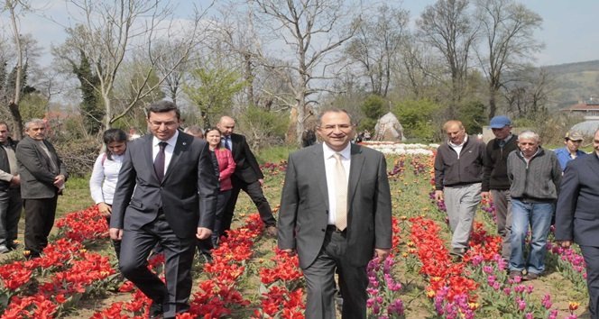 ÇAYCUMA İLÇESİ GEMİCİLER MAHALLESİNDE LALE SOĞANI VE AYRICA ZAMBAK, ÇİĞDEM SOĞANI ÜRETİMİ YAPAN ÜRETİCİLERDEN ULAŞ KINICI VE AŞKIN KINICI'NIN ÜRETİM BAHÇELERİNE GELEREK İNCELEMELERDE BULUNAN VALİ ALİ KABAN'A ÇAYCUMA KAYMAKAMI SERKAN KEÇELİ, ZONGULDAK İL GIDA TARIM VE HAYVANCILIK MÜDÜRÜ NECMİ ÇELİK, ÇAYCUMA İLÇE GIDA TARIM VE HAYVANCILIK MÜDÜRÜ COŞKUN ULUTAŞ VE ÇAYCUMA İLÇE MÜDÜRLÜĞÜ ZİRAAT MÜHENDİSLERİ EŞLİK ETTİLER. (İLHAN GÖKÇEN/ZONGULDAK-İHA)