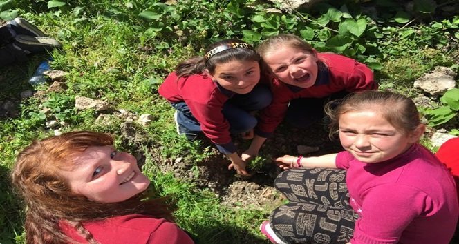 SEHİT SALİM UÇAR İLK OKULUNA 40 SEDİR FİDAN DİKİLDİ (EMRAH YILDIZ/ZONGULDAK-İHA)