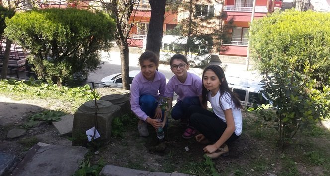 DEVREKLİ ÖĞRENCİLER FİDAN DİKTİ