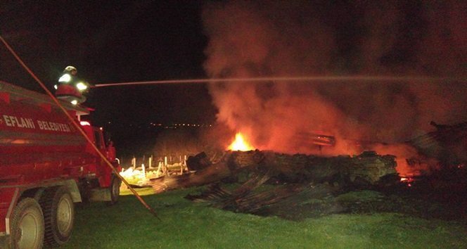 HAYVANLARINI KURTARMAK İSTERKEN YANARAK CAN VERDİ