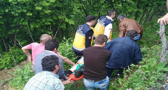 ZONGULDAK'IN EREĞLİ İLÇESİNDE 'PAT PAT' DİYE TABİR EDİLEN TARIM ARACININ DEVRİLMESİ SONUCU BİR KİŞİ AĞIR ŞEKİLDE YARALANDI. (VEDAT KILIÇ/ZONGULDAK-İHA)