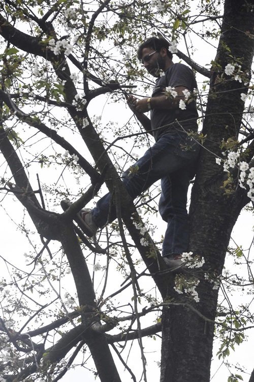 ZONGULDAK’IN KİLİMLİ İLÇESİNE BAĞLI GELİK BELDESİNDE YAŞAYAN VATANDAŞLAR; CEP TELEFONLARI SİNYAL ALMADIĞI İÇİN AĞAÇLARA VE EVLERİN ÇATILARINA ÇIKARAK TELEFON GÖRÜŞMESİ YAPMAYA ÇALIŞIYOR. (İLHAN GÖKÇEN/ZONGULDAK-İHA)