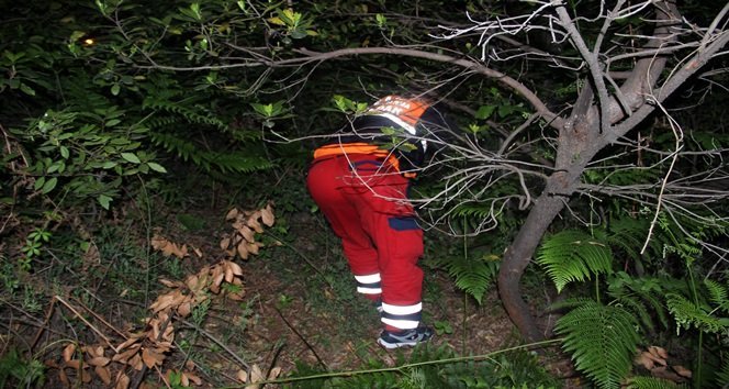 2 GÜNDÜR KAYIP OLAN ALZHEİMER HASTASI MÜRSEL SARI İÇİN ARAMA ÇALIŞMASI BAŞLATILDI. (VEDAT KILIÇ/ZONGULDAK-İHA)