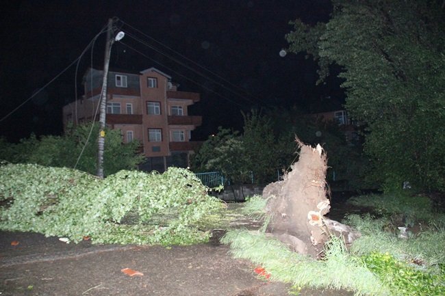 ZONGULDAK’IN EREĞLİ İLÇESİNDE ŞİDDETLİ FIRTINDA BAZI EVLERİN ÇATISI UÇARKEN, AĞAÇLAR DA YERİNDEN SÖKÜLEREK DEVRİLDİ. (VEDAT KILIÇ/ZONGULDAK-İHA)
