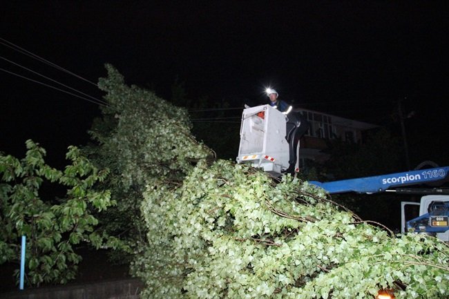 ZONGULDAK’IN EREĞLİ İLÇESİNDE ŞİDDETLİ FIRTINDA BAZI EVLERİN ÇATISI UÇARKEN, AĞAÇLAR DA YERİNDEN SÖKÜLEREK DEVRİLDİ. (VEDAT KILIÇ/ZONGULDAK-İHA)