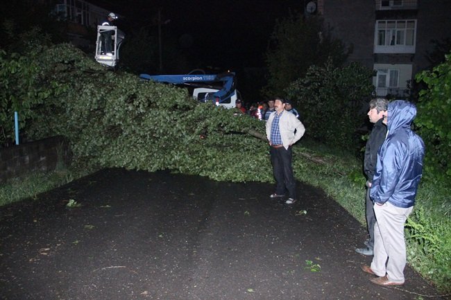 ZONGULDAK’IN EREĞLİ İLÇESİNDE ŞİDDETLİ FIRTINDA BAZI EVLERİN ÇATISI UÇARKEN, AĞAÇLAR DA YERİNDEN SÖKÜLEREK DEVRİLDİ. (VEDAT KILIÇ/ZONGULDAK-İHA)