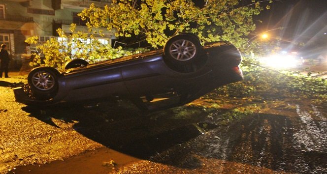 YOLA DEVRİLEN AĞAÇ KAZAYA NEDEN OLDU: 3 YARALI
