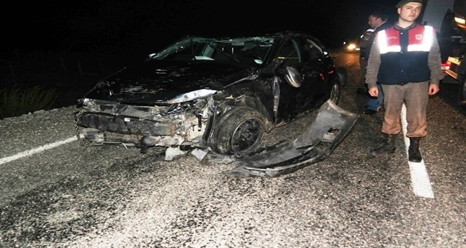 OTOMOBİL BAŞIBOŞ EŞEKLERE ÇARPTI: 1 YARALI