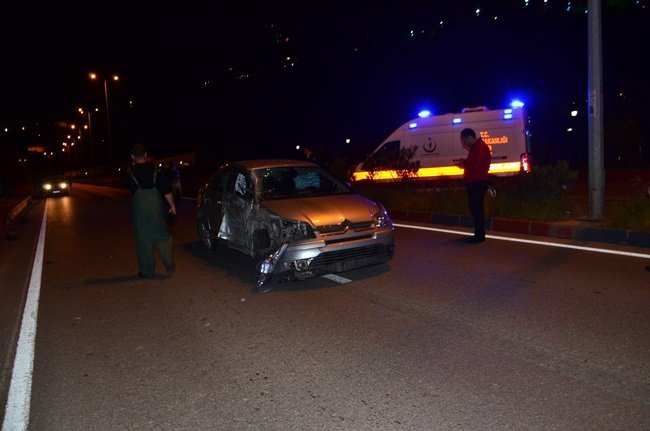 KONTROLÜ KAYBEDİNCE AYDINLATMA DİREĞİNİ DEVİRDİ: 2 YARALI