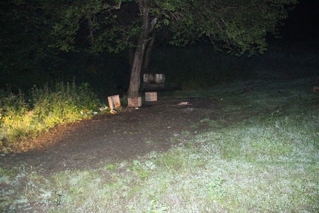 MURAT ÖZTÜRK'ÜN MİNİBÜSE BİNMEDEN ÖNCE 3 ARKADAŞI İLE BİRLİKTE ALKOL ALDIĞI ÖĞRENİLDİ. (VEDAT KILIÇ/ZONGULDAK-İHA)