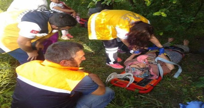 ERİK AĞACINDAN DÜŞEN KADINI AFAD EKİPLERİ KURTARDI