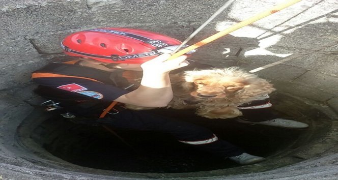 KUYUYA DÜŞEN KÖPEĞE KURTARMA OPERASYONU