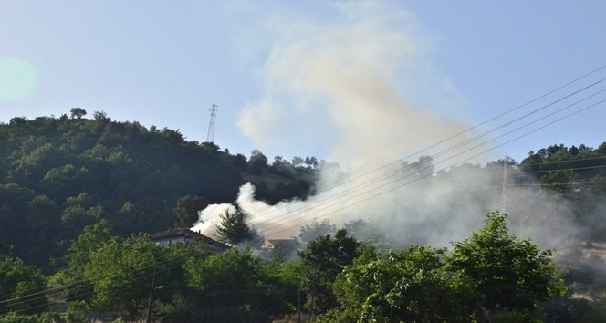 BENZİNLİK YAKININDA ÇIKAN ANIZ YANGINI KORKUTTU