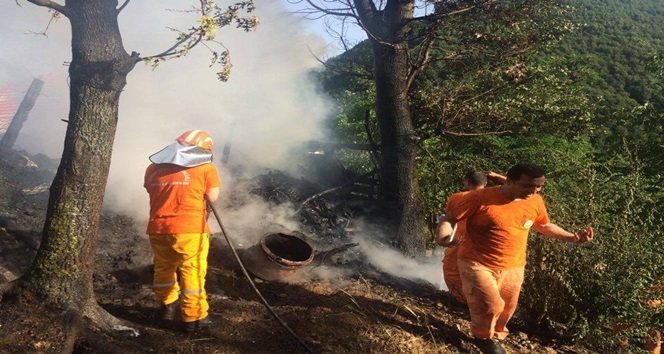 KONSERVE YAPARKEN ÇIKAN YANGINDA 3 HEKTARLIK ALAN KÜL OLDU