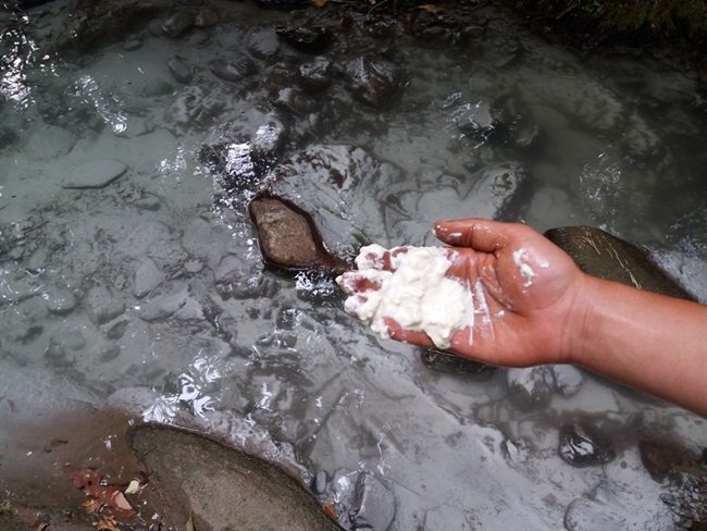 KASTAMONU'DA NESLİ TÜKENMEKTE OLAN KIRMIZI BENEKLİ ALABALIKLARI AVLAMAK İÇİN DEREYE KİREÇ DÖKTÜLER (MEHMET SALMAN KASTAMONU İHA) (MEHMET SALMAN/KASTAMONU-İHA)