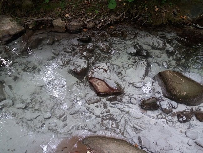 KASTAMONU'DA NESLİ TÜKENMEKTE OLAN KIRMIZI BENEKLİ ALABALIKLARI AVLAMAK İÇİN DEREYE KİREÇ DÖKTÜLER (MEHMET SALMAN KASTAMONU İHA) (MEHMET SALMAN/KASTAMONU-İHA)