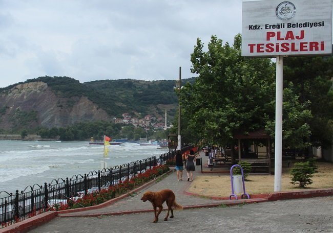 POLİSE GELEN DENİZDE BİR KİŞİNİN BOĞULMA TEHLİKESİ GEÇİRDİĞİ İHBARI ÜZERİNE KURTARMA EKİPLERİ PLAJLAR BÖLGESİNDE DENİZDE GÖZLE TARAMA YAPTI. (VEDAT KILIÇ/ZONGULDAK-İHA)
