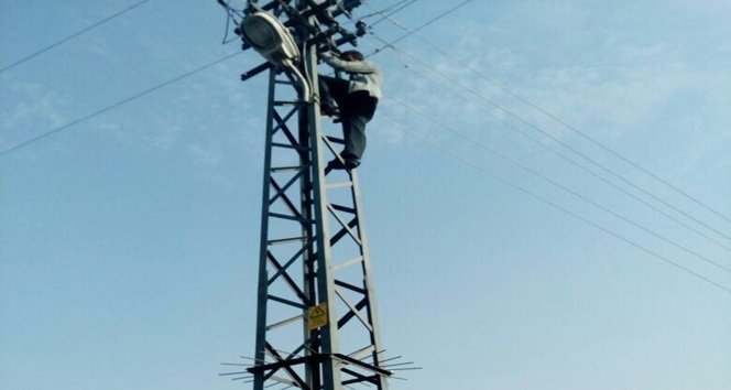 Elektrik direğine çıkıp intihara kalkıştı