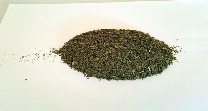 Zonguldak’ta üzerinde esrar ele geçirilen kişi gözaltına alındı