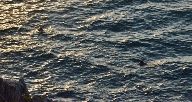 ZONGULDAK’TA DENİZE DÜŞEN AYAKKABISINI ALMAK İÇİN DENİZE ATLAYAN GENÇ CANINDAN OLUYORDU. (SERTAÇ ÖZDEMİR/ZONGULDAK-İHA)