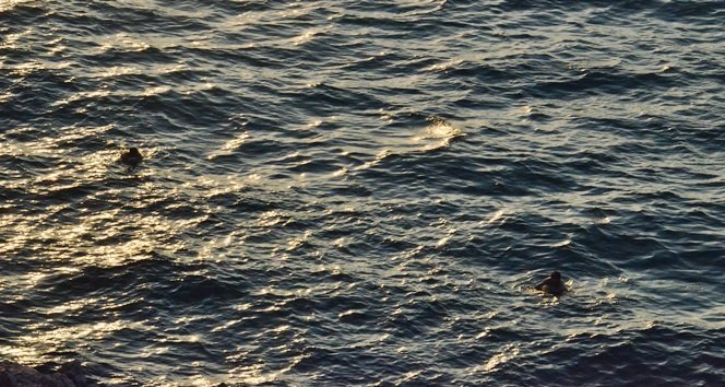 ONGULDAK’TA DENİZE DÜŞEN AYAKKABISINI ALMAK İÇİN DENİZE ATLAYAN GENÇ CANINDAN OLUYORDU. (SERTAÇ ÖZDEMİR/ZONGULDAK-İHA)
