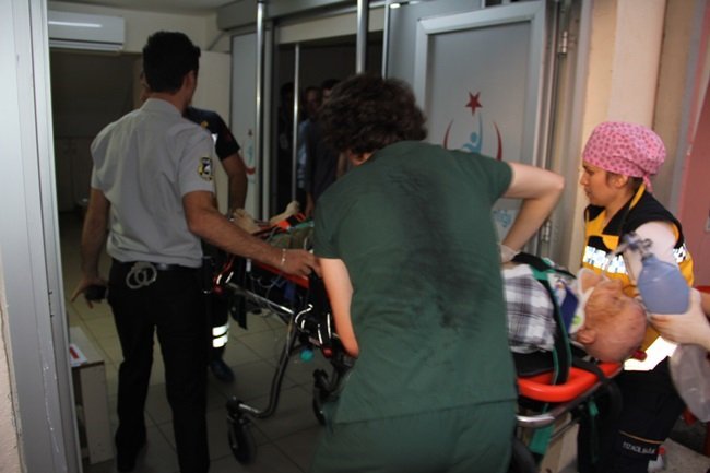 KAVAK AĞACINDAN DÜŞEN MEVLÜT KOÇ, HAYATINI KAYBETTİ. (MEHMET SALMAN/KASTAMONU-İHA)