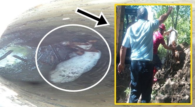 8 Metrelik Kuyuda Kurtarma Operasyonu