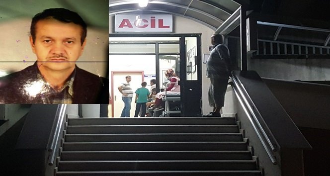 Zonguldak’ta eşek arısının soktuğu kişi hayatını kaybetti