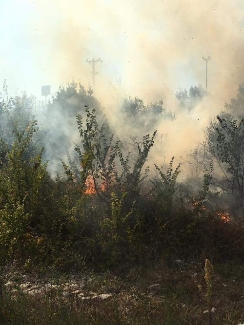 ALAPLI'DA ANIZ YANGINI ( ERTUĞRUL YÜKSEL/ZONGULDAK-İHA) (ERTUĞRUL YÜKSEL/ZONGULDAK-İHA)