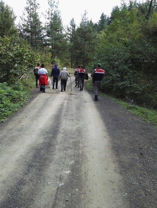 KAYBOLAN ALZHEİMER HASTASI SAFİYE SİNANOĞLU'NU ARAMA ÇALIŞMALARI SÜRÜYOR. (VEDAT YUNUS İKİZOĞLU/KASTAMONU-İHA)