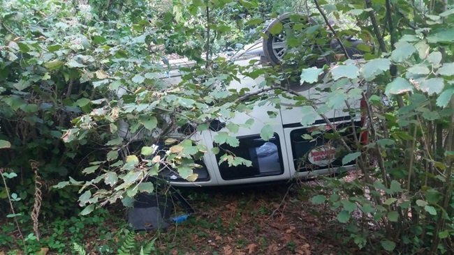 KASTAMONU’DA YOLDAN ÇIKARAK FINDIK TARLASINA UÇAN KAMYONETİN SÜRÜCÜSÜ YARALANDI. (MEHMET SALMAN/KASTAMONU-İHA)