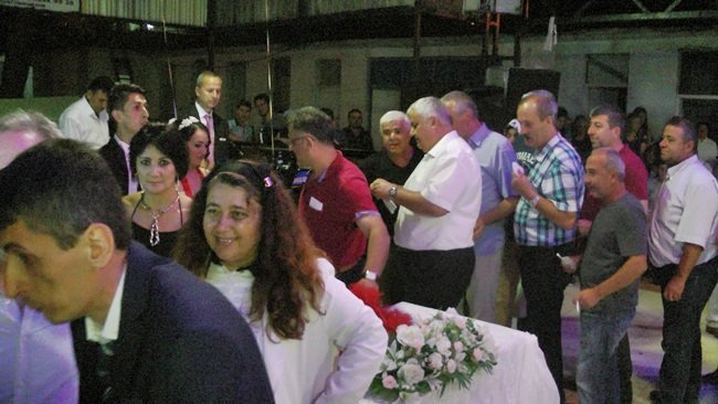 S3390310